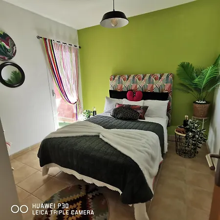 Vakantiehuis Wind Rose Duplex *